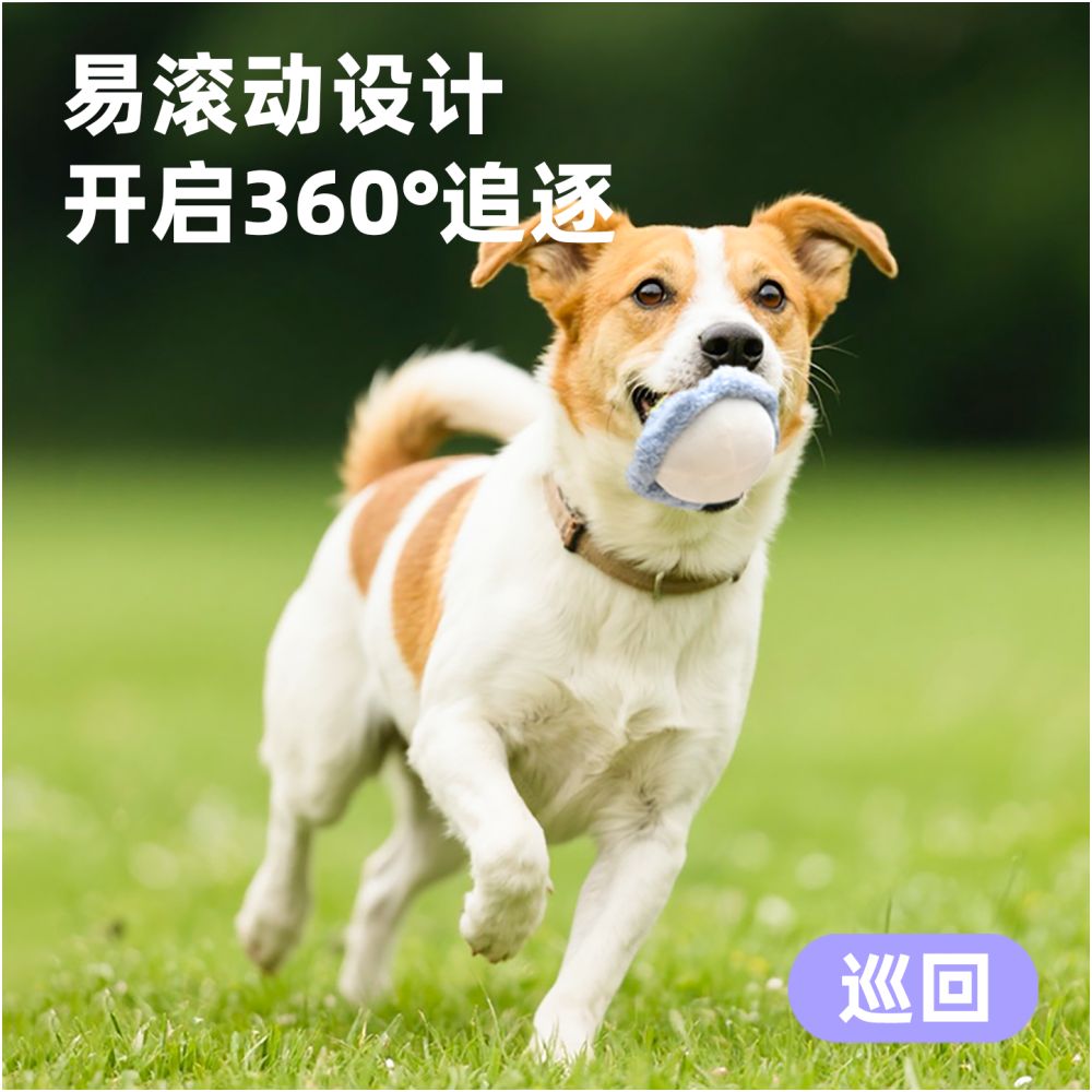 MOTA Pet Cat Toy Self Fun Soothing Dog Toy Bite Resistant Sound Ball Rich Teeth Grinding Hidden Food image 5