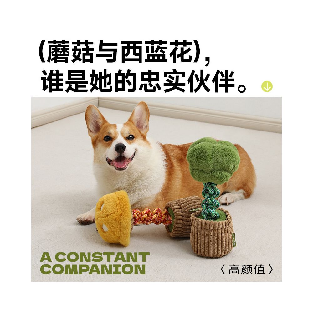 Tianyuan Pet Dog Toys with Bite resistant Teeth Grinding Knot Puppy Voice Relief Tool Dog Pet Toys image 2