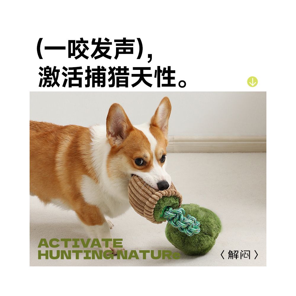 Tianyuan Pet Dog Toys with Bite resistant Teeth Grinding Knot Puppy Voice Relief Tool Dog Pet Toys image 5