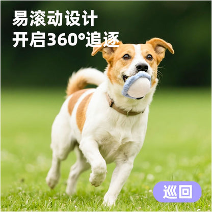 MOTA Pet Cat Toy Self Fun Soothing Dog Toy Bite Resistant Sound Ball Rich Teeth Grinding Hidden Food image 5