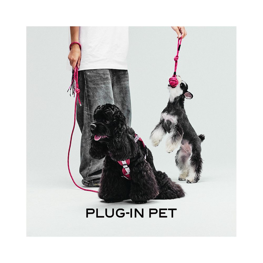 PLUG IN PET Pre sale Knot Pet Toy Ball image 2