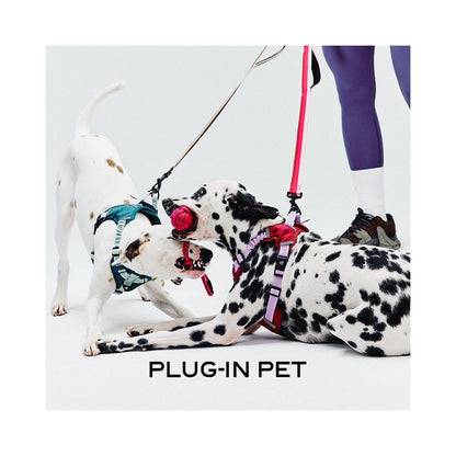PLUG IN PET Pre sale Knot Pet Toy Ball image 4