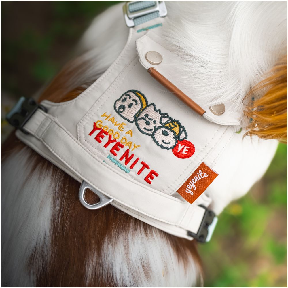 【Momo 原創設計】茶系椰椰系列撞色胸背帶｜多點可調節寵物牽引組