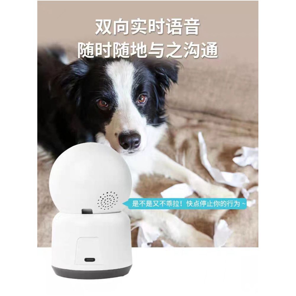 PAPIFED pet feeding monitor WiFi remote voice interaction cat camera 360 panoramic 1080P image 2