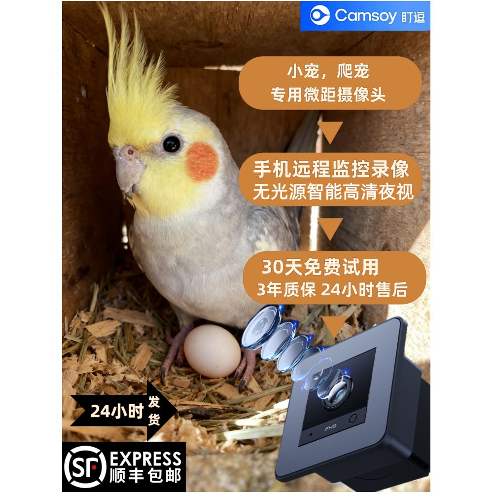 Climbing pet camera high definition night vision incubation observation camera mobile phone remote control monitoring camera image 0