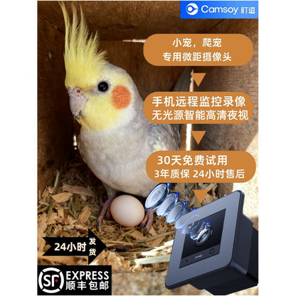 Climbing pet camera high definition night vision incubation observation camera mobile phone remote control monitoring camera image 0