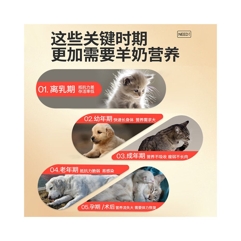 Hxhw sheep milk powder for cats specifically designed for young cats adult cats cats with low sensitivity easily absorbable pets pregnant cats milk powder image 2