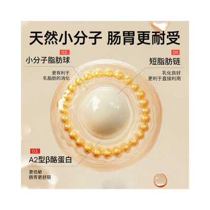 Hxhw sheep milk powder for cats specifically designed for young cats adult cats cats with low sensitivity easily absorbable pets pregnant cats milk powder image 4