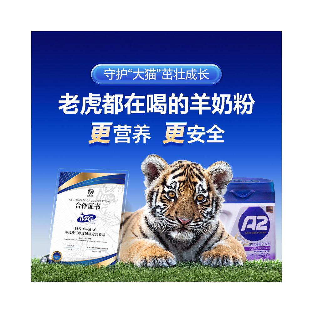 MAG SF Express A2 Sheep Milk Powder Cat Specific 0 Lactose Newborn Kittens Cat Pet Specific image 3
