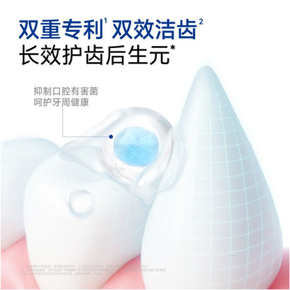 Small shell small white teeth Pro teeth cleaning freeze dried grinding stick cat snacks fresh bad breath become a kitten teeth cleaning stick image 3