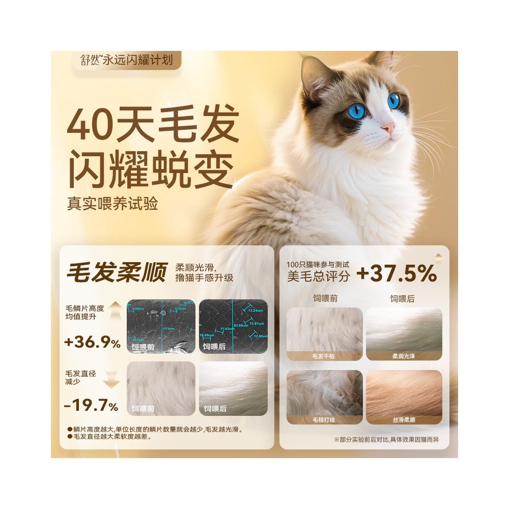 Maifudi Shuran Fish Oil Cat Food Beautiful Hair Add 80 high purity fish oil to make kitten universal cat food 2kg image 4