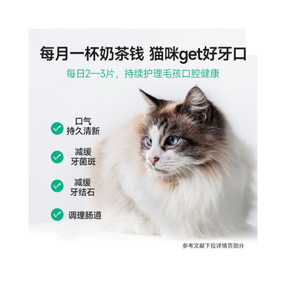 Maifudi freeze dried cat snacks daily teeth cleaning cat freeze dried teeth cleaning particles teeth grinding fresh breath pet snacks image 3