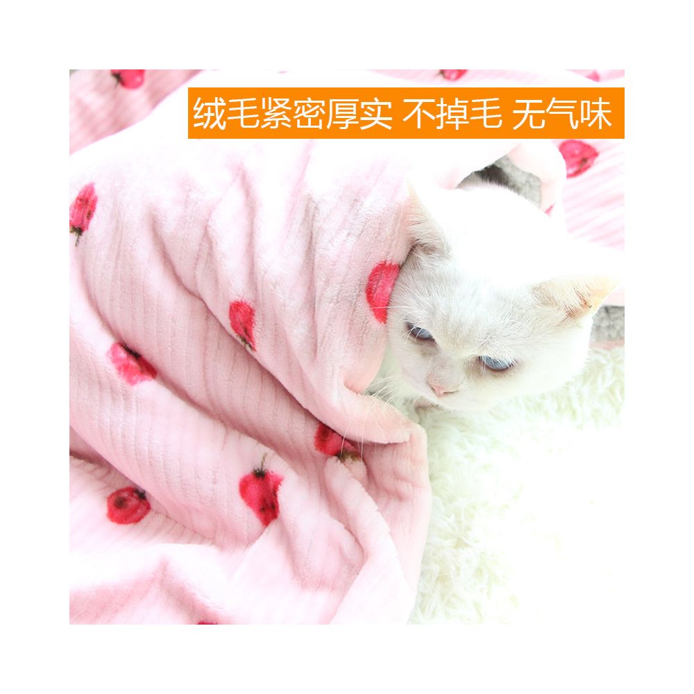 Thick pet blanket special blanket for cats cat mat dog quilt puppy sleeping mat winter coral fleece image 2