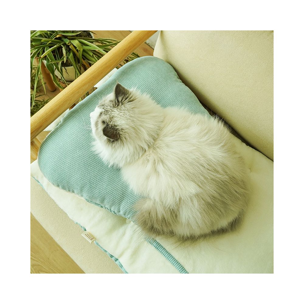 Cat and dog autumn and winter pet sleeping mats cat beds dog beds special sleeping mats warm in winter removable and washable pillows and beds image 3