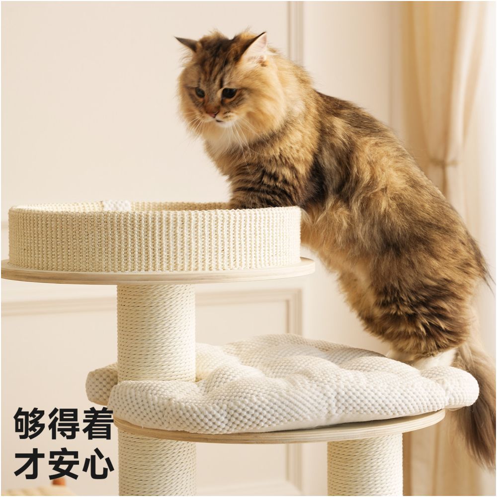 Beast brand Puff Short footed Cat Crawler Rack Small House No Occupation Household Large Cat Special Cat Scratch Board Cat Crawler Rack Integrated image 2