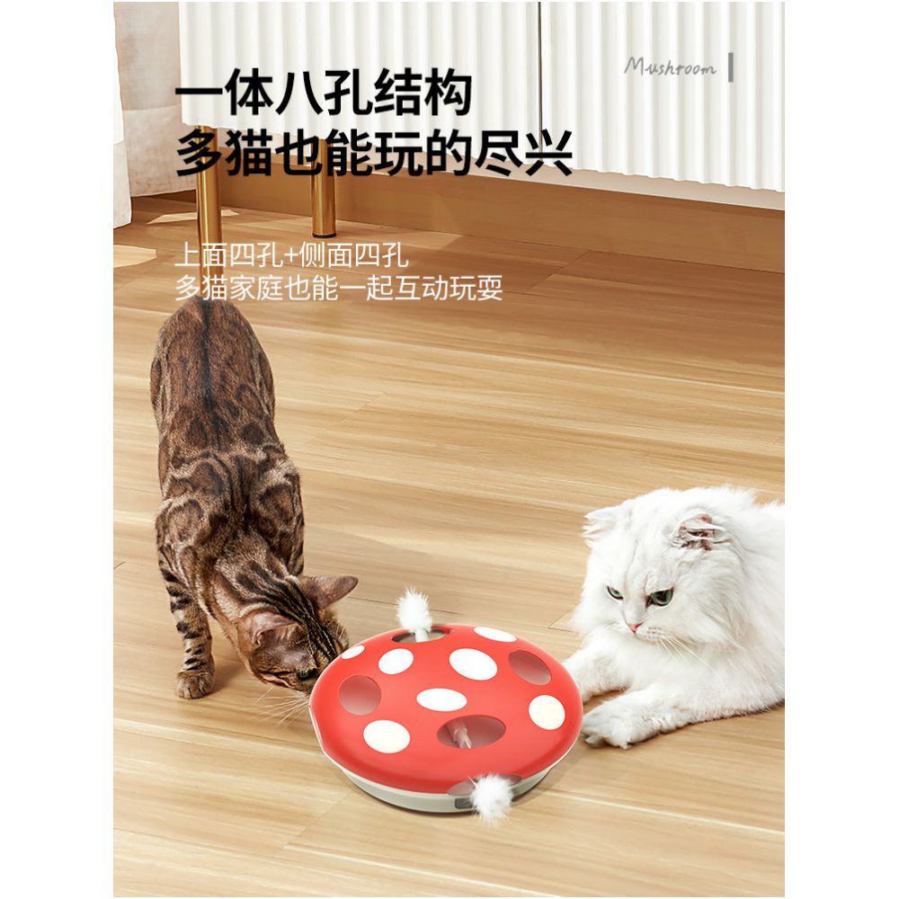 Cat teaser wand cat toys self entertainment and entertainment kitten toys electric cat toys a complete collection of cat supplies and cat toys image 4