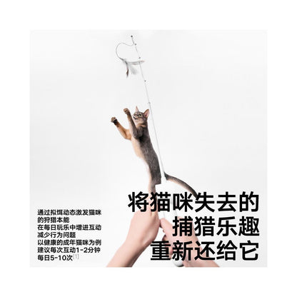 New Arrival Pidan Lure Fishing Rod Cat Toy image 2