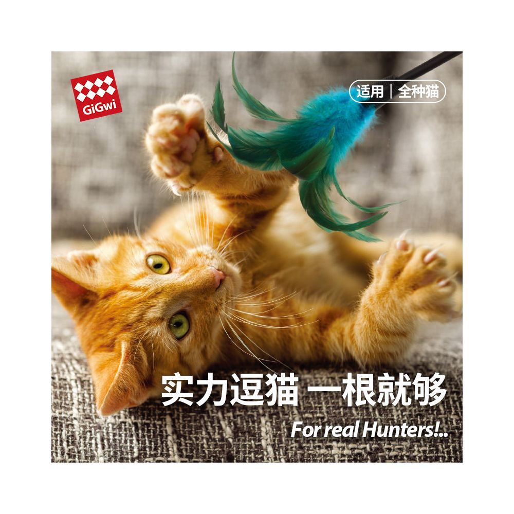GiGwi a premium cat toy a self entertaining and entertaining tool a cat teaser with durable feathers suitable for cats and kittens and a pet product image 1