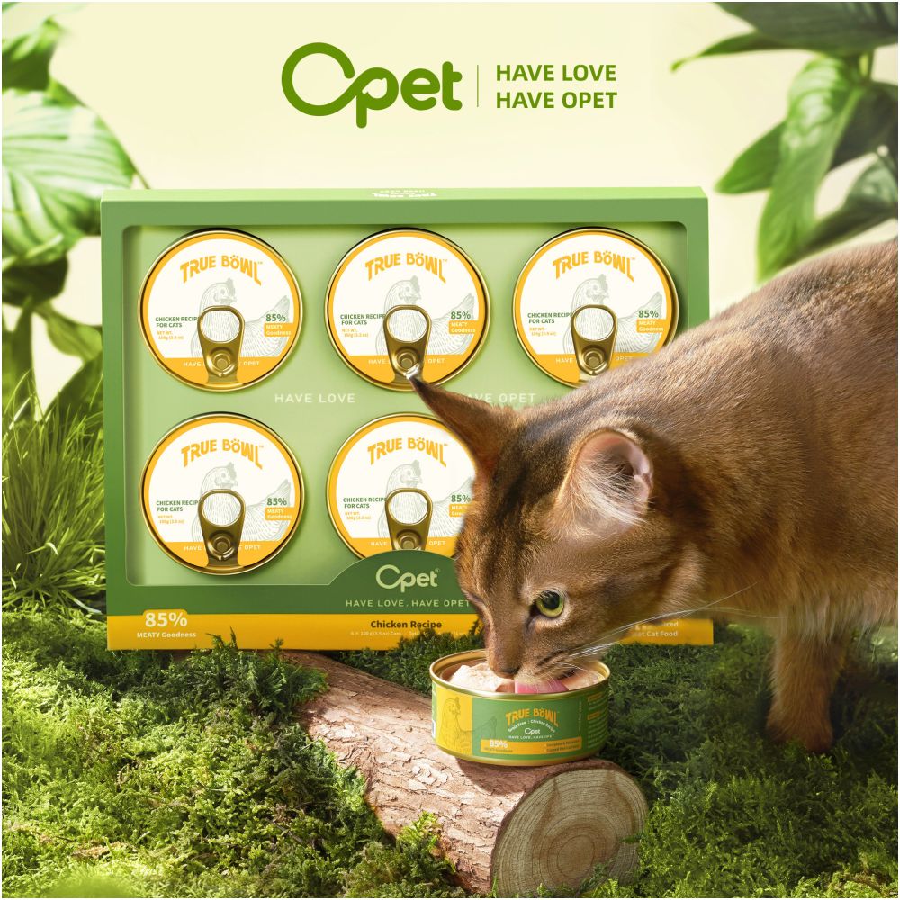 OPET Cat Canned Full Price Staple Food Canned True Bowl Series Wet Food for Adult Cats and Kittens High Nutrition Non Snack image 4