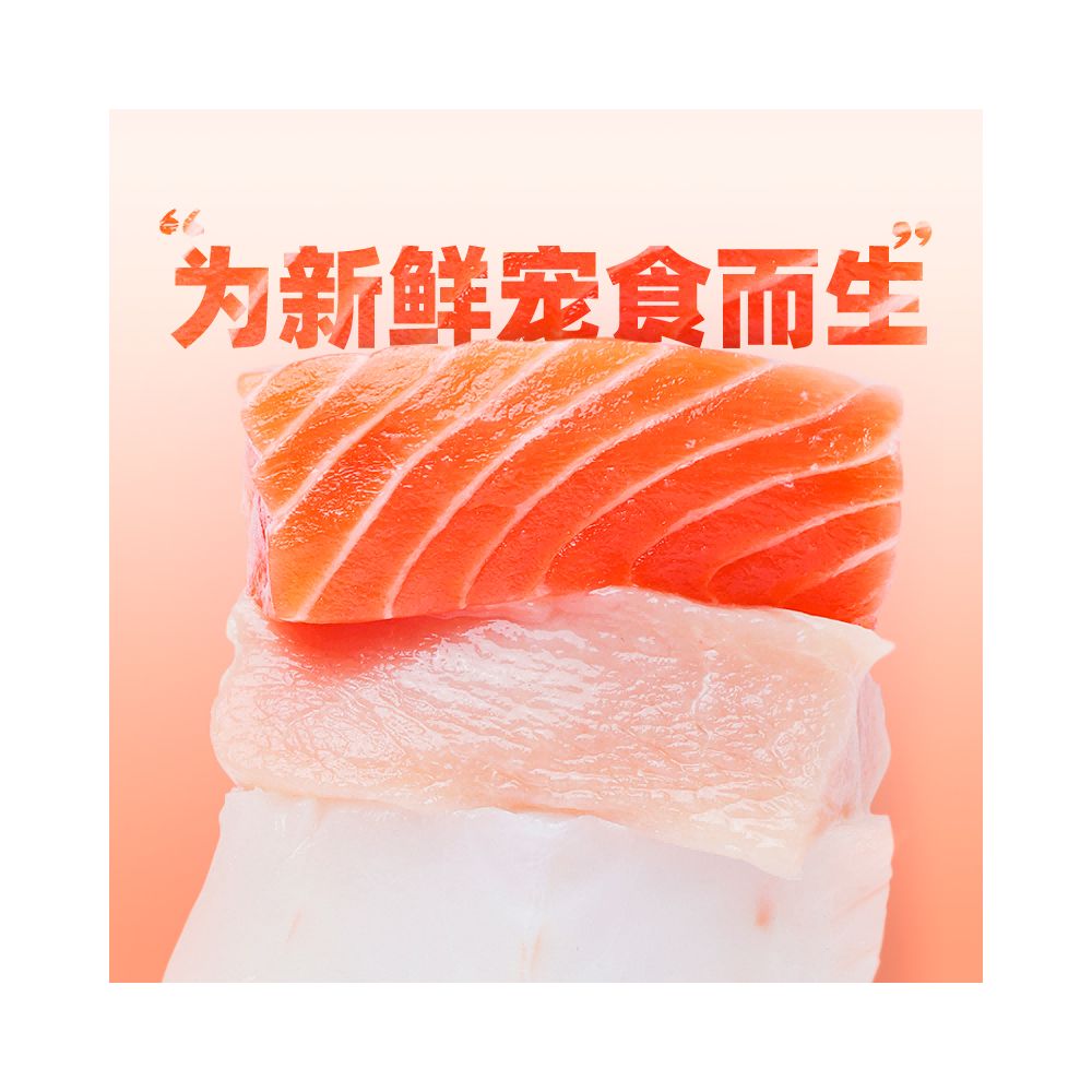 Fresh Lang Cat Staple Food Can Wet Food Salmon Chicken Beef Formula Cat Can Grain Free Full Price Cat Wet Food Cloth Doll Short Garfield Cat Suitable for 600g and 3000g Dual Specifications image 3