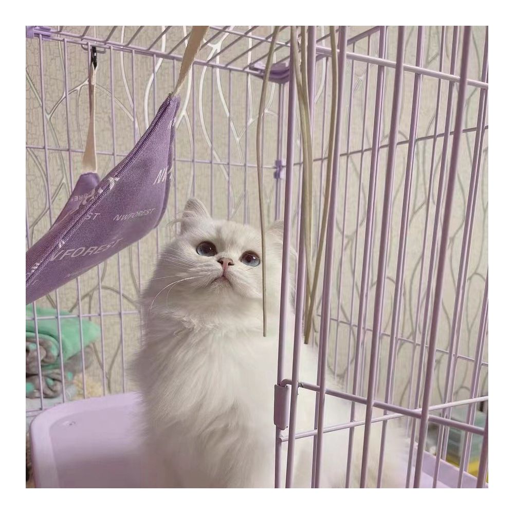 STORY Norwegian Forest Cat Cage Extra Large Free Space Cat Cage Villa Two or Three Floors Household Extra Large Indoor Cat House image 4