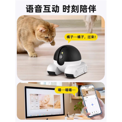 A mobile walkable pet monitoring robot with remote mobile phone camera no network required wireless camera image 4