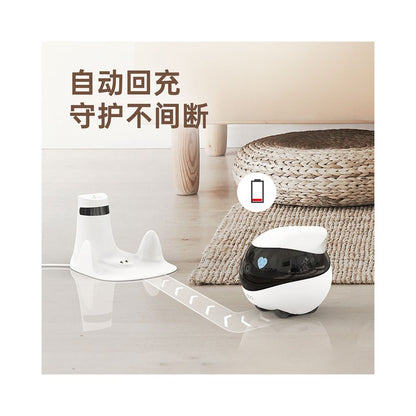 EBO Whole House Mobile Camera Wireless Camera Home Smart Walking Robot ROLA Pet Monitoring Robot image 4