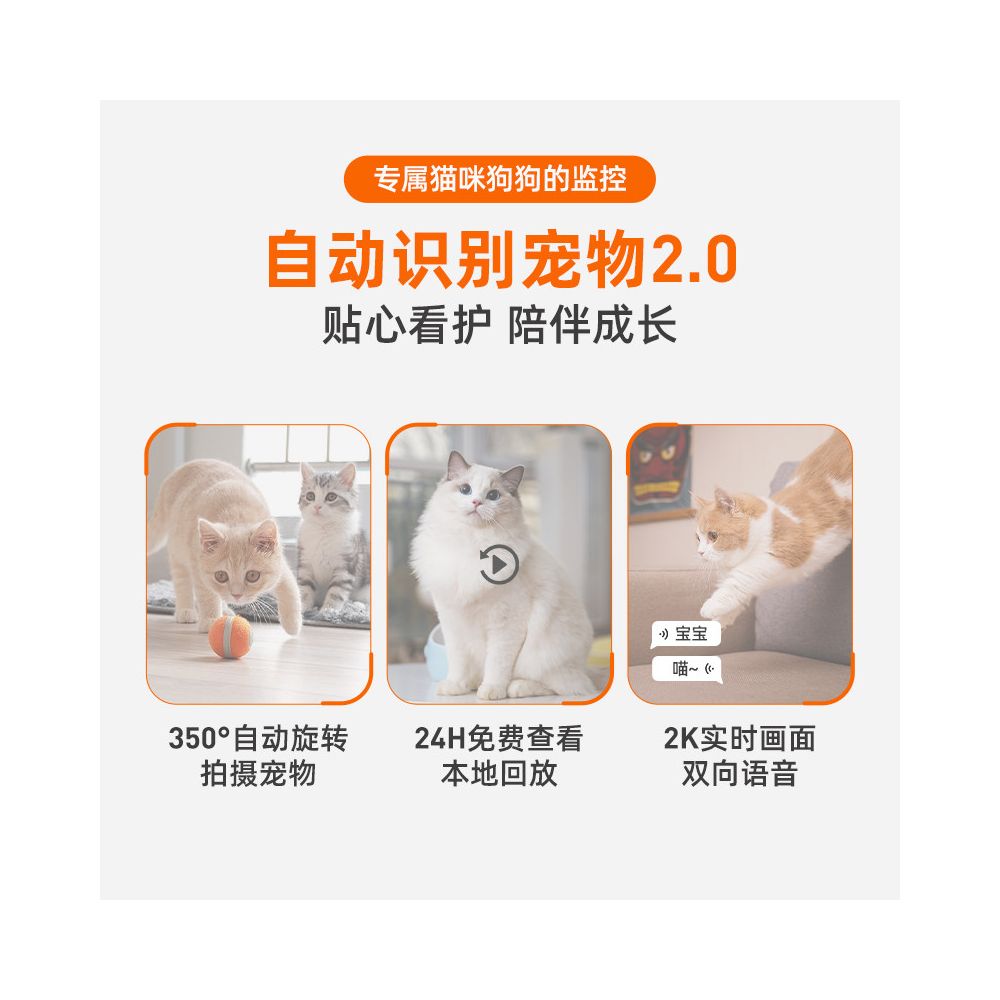 PicoFang Pet Home Smart Monitoring Camera Remote Viewing and Playback via Mobile Phone Voice Interaction WiFi Network Camera image 2