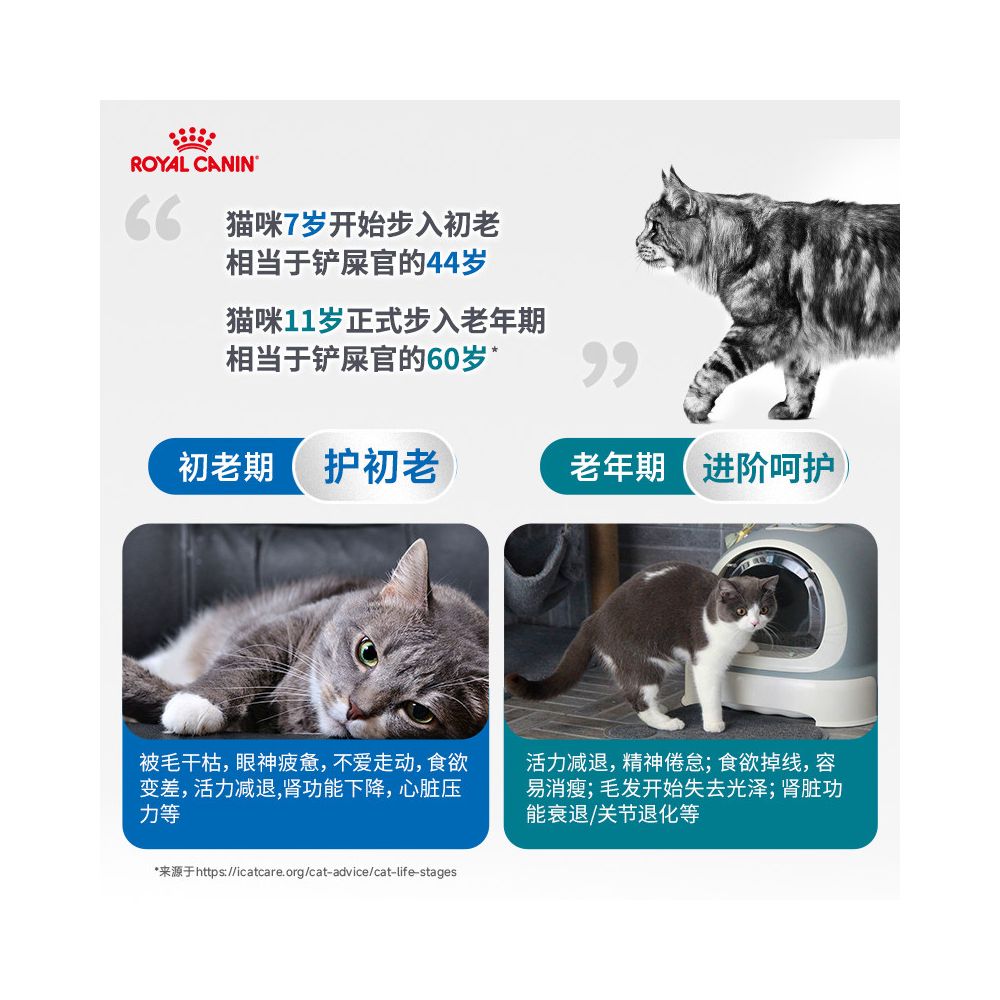 Royal Cat Food S27 AG28 Indoor Universal Adult Cat Food Full Value Nutrition for Cats Aged 7 and 11 and Over image 3