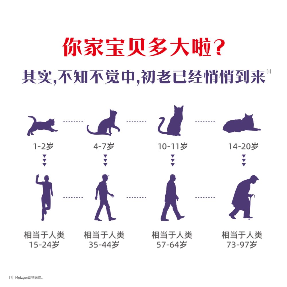 Official genuine Royal Senior Cat Food SC36 1 5KG full price cat food main food suitable for children aged 7 and above image 3