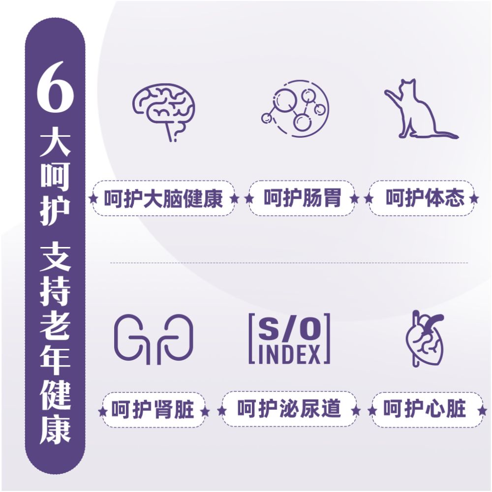 Official genuine Royal Senior Cat Food SC36 1 5KG full price cat food main food suitable for children aged 7 and above image 5