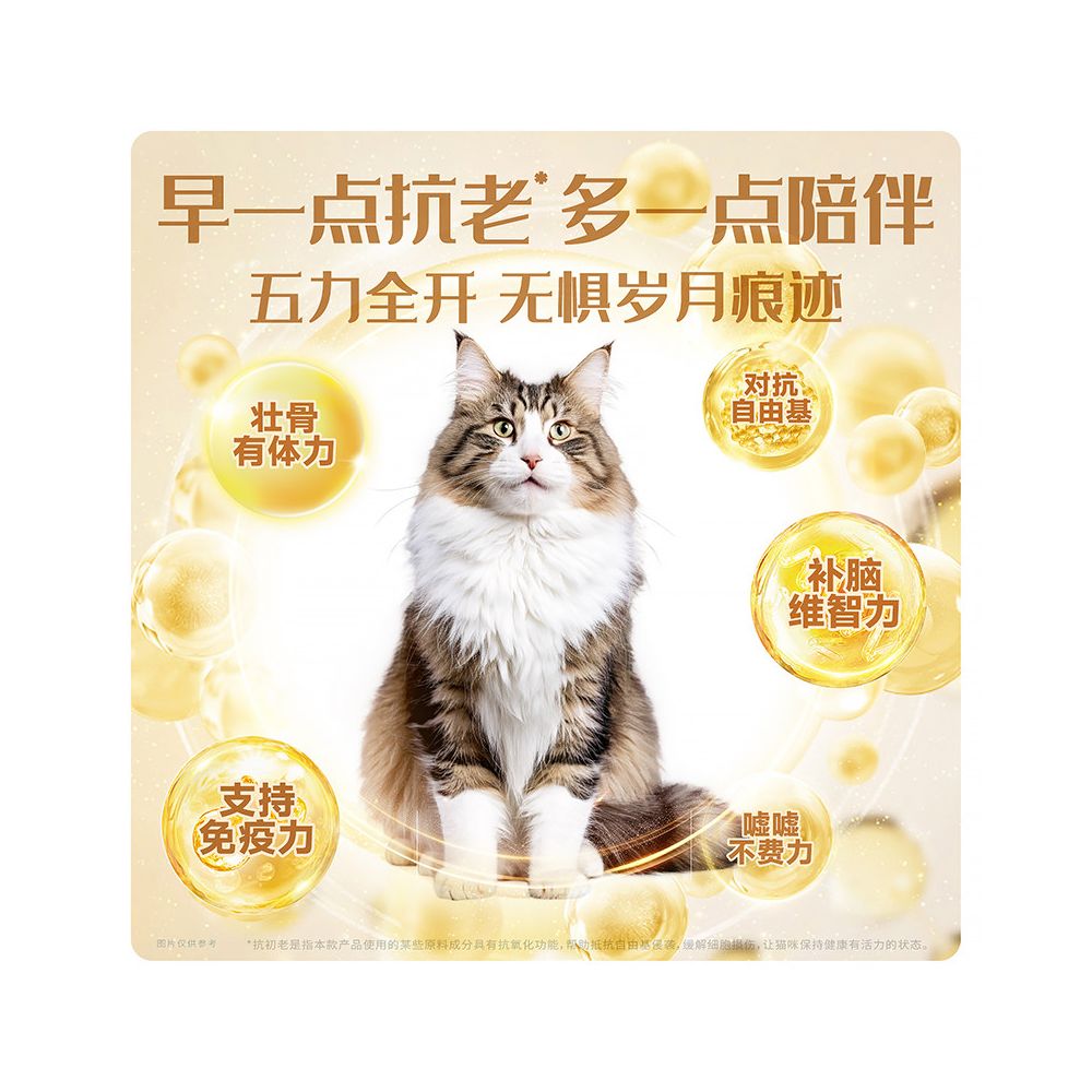 Bierui Ji has been selected as the staple food for old cats freeze drying for weight gain and nutrition for hair and cheeks without shedding hair It is an official flagship store authentic product image 4