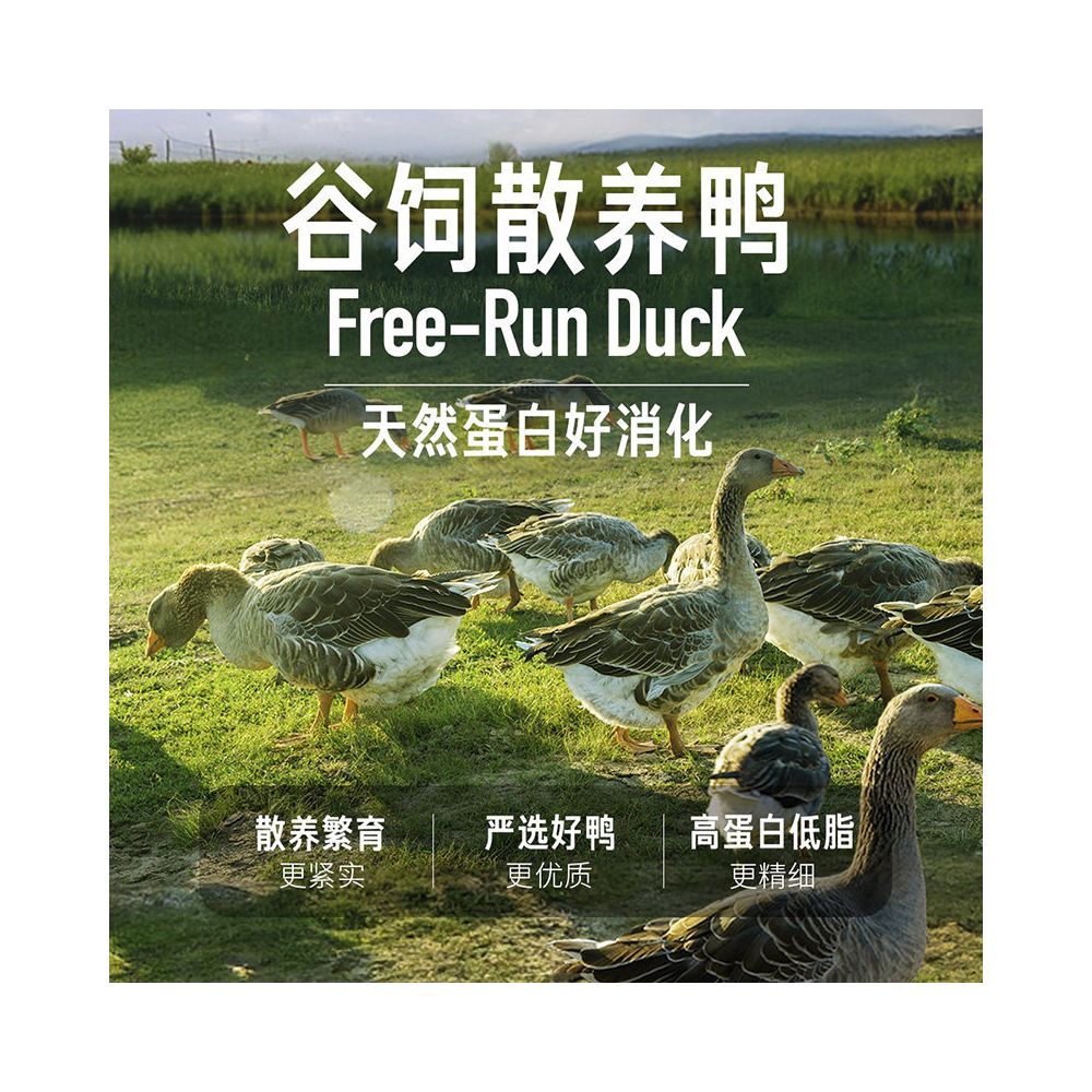 Official flagship Orijen yearns for imported nutrition full cat food 1 8 4 5kg for the eight fold protection of elderly cats image 3