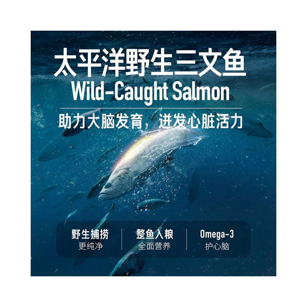 Official flagship Orijen yearns for imported nutrition full cat food 1 8 4 5kg for the eight fold protection of elderly cats image 4