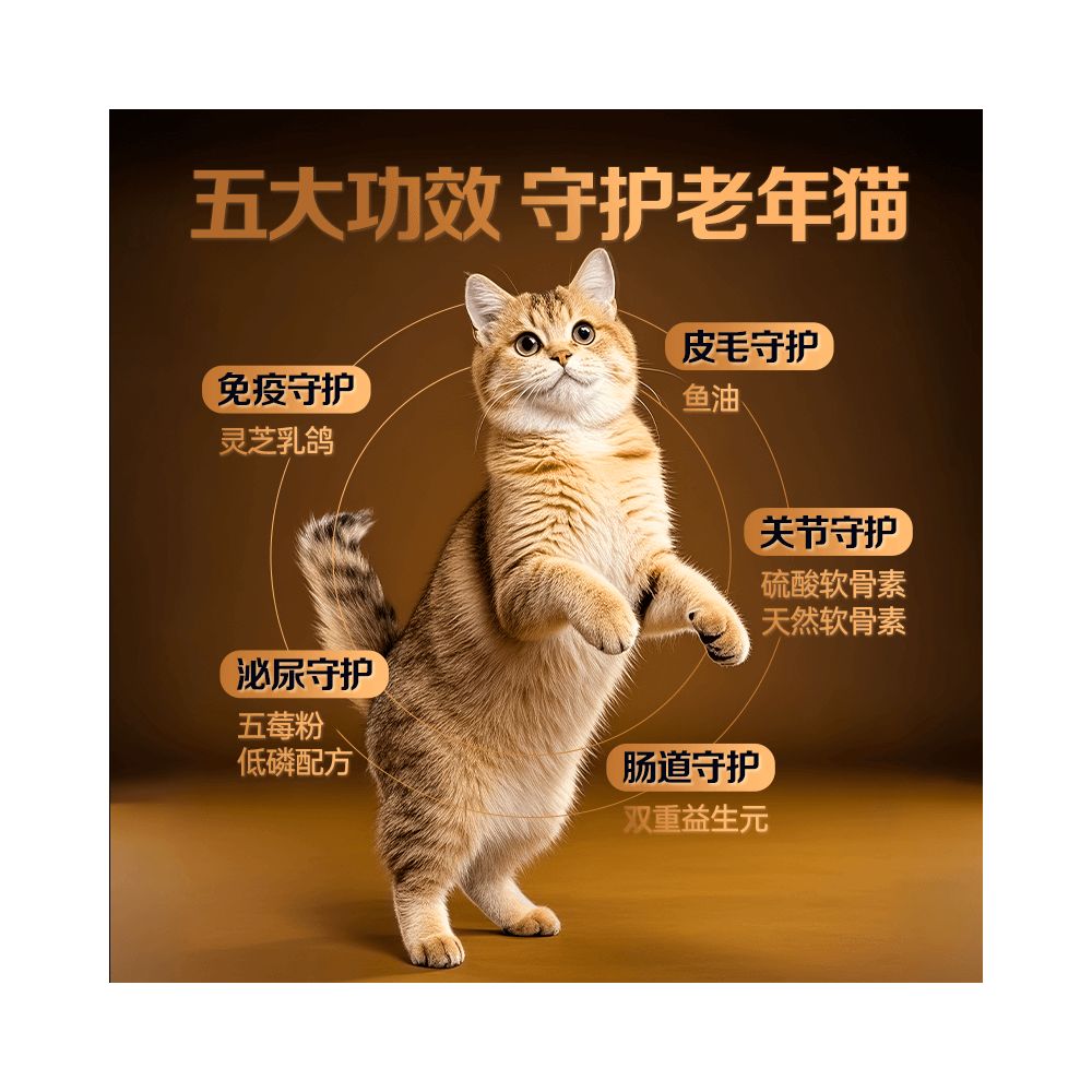 Elderly cat 7 years old Good owner graded into 4 levels cat food fresh meat without grain nourishing kidneys caring for intestines and stomach image 2