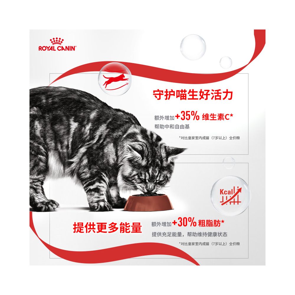 New product launched Royal Cat Food AG28 a universal cat food with full nutritional value for cats aged 11 and above image 4