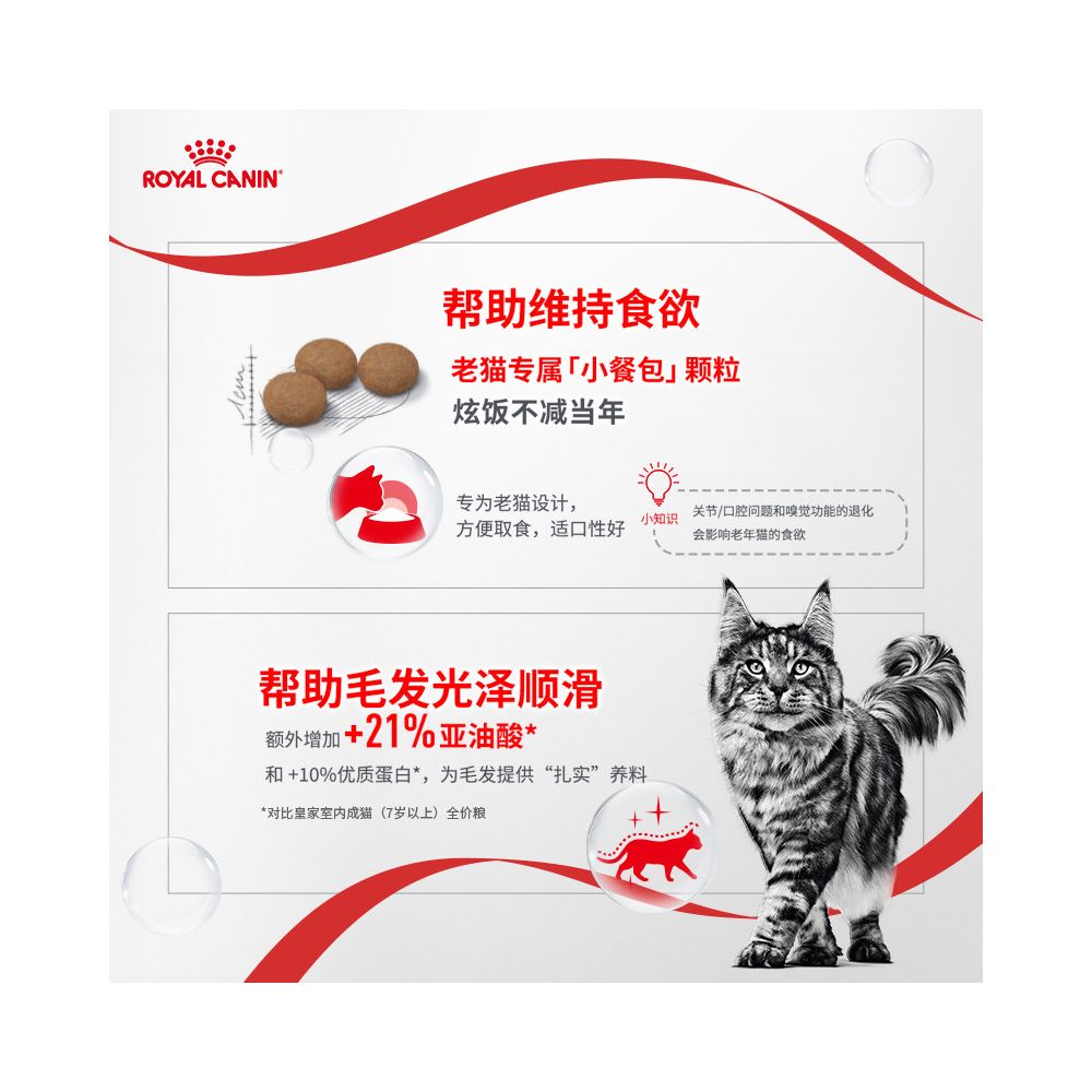New product launched Royal Cat Food AG28 a universal cat food with full nutritional value for cats aged 11 and above image 5