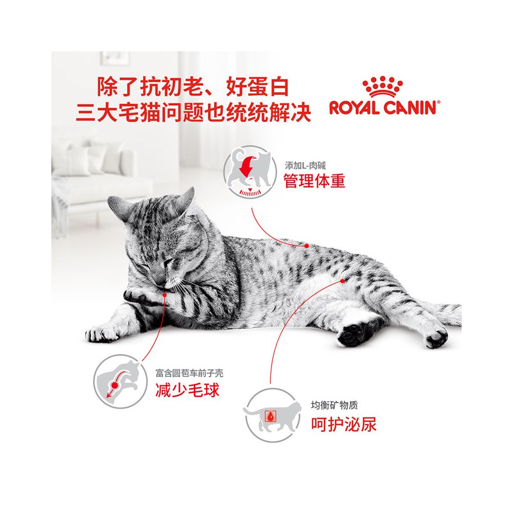 Royal cat food for cats aged 7 and above S27 universal staple food indoor adult cat full price cat food image 4