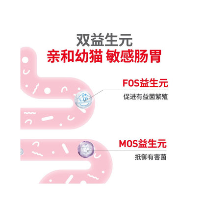 Royal cat food and kitten food K36 6 5KG weaning period English short kitten food full price nutritional food new product launched image 3