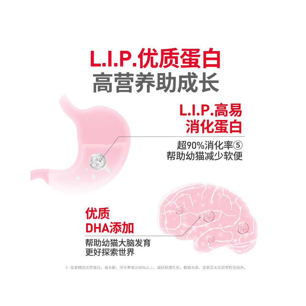 Royal cat food and kitten food K36 6 5KG weaning period English short kitten food full price nutritional food new product launched image 4