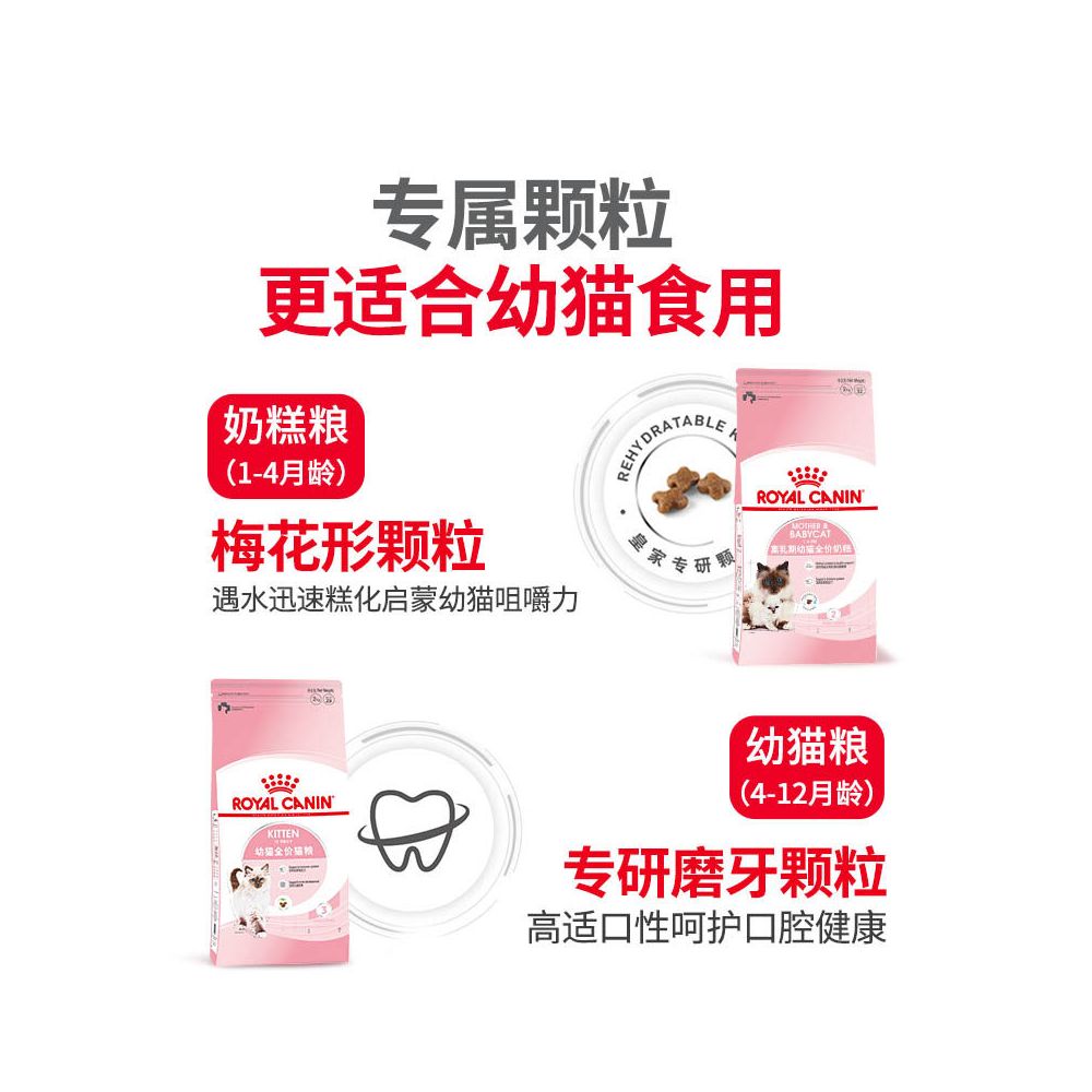 Royal kitten specific milk cake cat food for 4 12 months K36 staple food for kittens during weaning period image 5