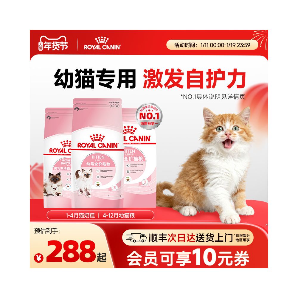 Royal kitten specific milk cake cat food for 4 12 months K36 staple food for kittens during weaning period image 0