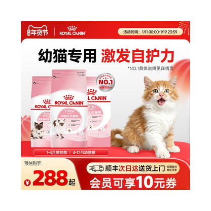 Royal kitten specific milk cake cat food for 4 12 months K36 staple food for kittens during weaning period image 0