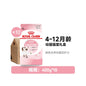 【皇家 Royal Canin】幼貓專用糧 K36｜4-12個月成長期幼貓主食，銜接離乳奶糕營養配方