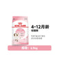 【皇家 Royal Canin】幼貓專用糧 K36｜4-12個月成長期幼貓主食，銜接離乳奶糕營養配方