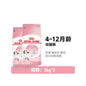 【皇家 Royal Canin】幼貓專用糧 K36｜4-12個月成長期幼貓主食，銜接離乳奶糕營養配方