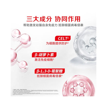 Royal Cat Food Universal Kitten Cat Food K36 Milk Cake Release Period BK34 Kitten Special Cat Food 6 5kg 10kg image 2