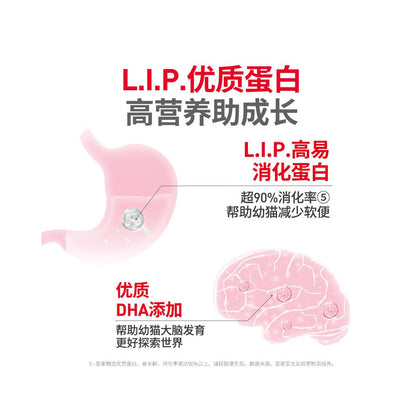 Royal Cat Food Universal Kitten Cat Food K36 Milk Cake Release Period BK34 Kitten Special Cat Food 6 5kg 10kg image 4