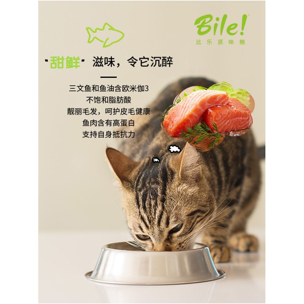 Bile Original Flavor Fresh Cat Food Freeze Dried Food Low Sensitivity Grain Free Indoor Juvenile Cat Food Salmon Weight Gain and Hair Growth 8kg image 2
