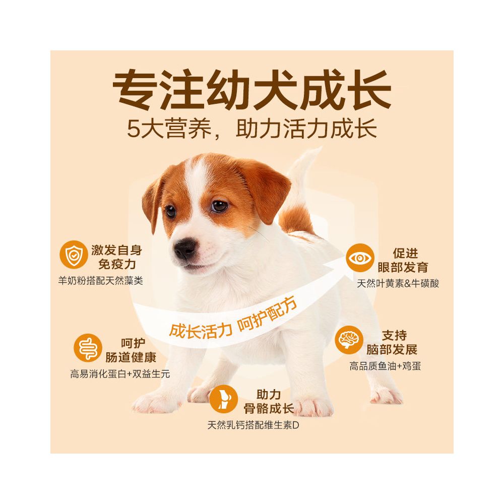 Maifudi Double Combination Dog Food for Small Puppies Teddy VIP Bears corgi General Puppy Food image 3